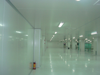 溫州大好大瓜子篩選車間